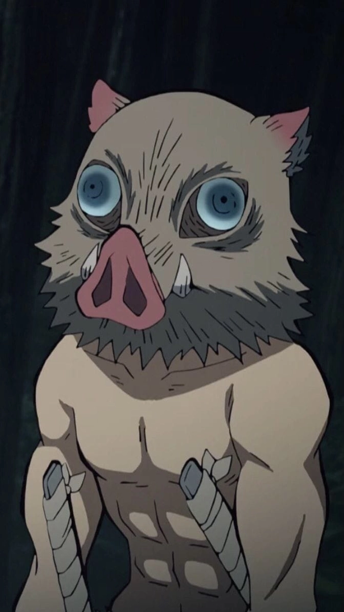 ảnh Inosuke Hashibira 12